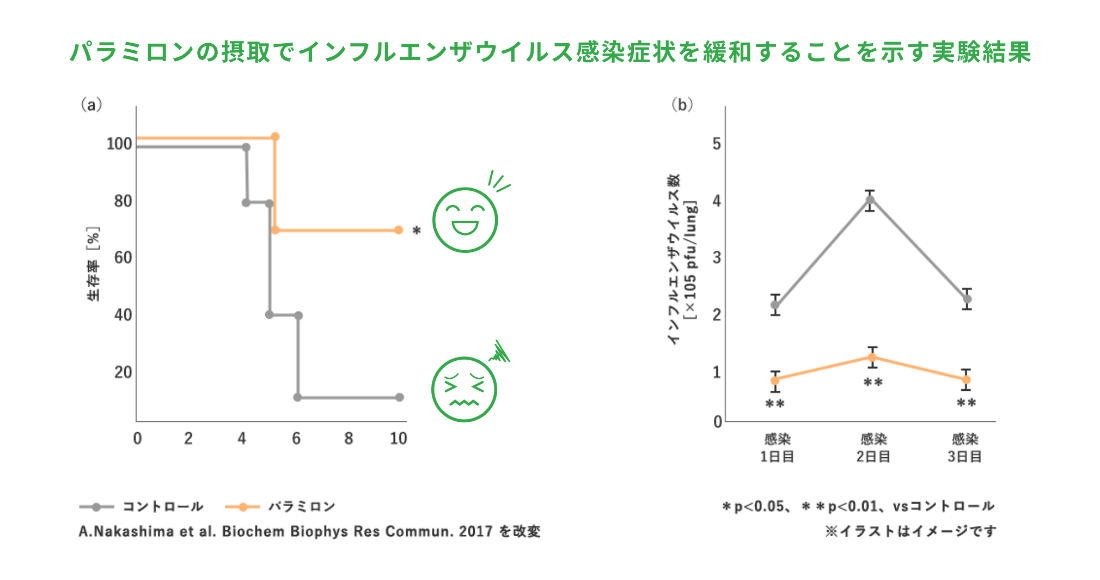 ”パラミロン”の効果の説明イラスト