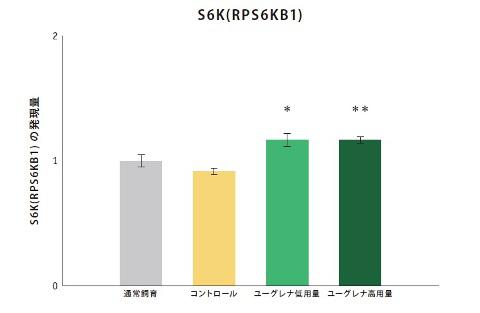 サブイメージ