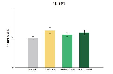 サブイメージ