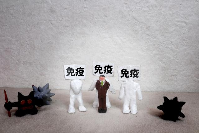 白血球 免疫 免疫細胞