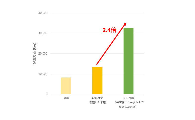 結果 こうじ酵素