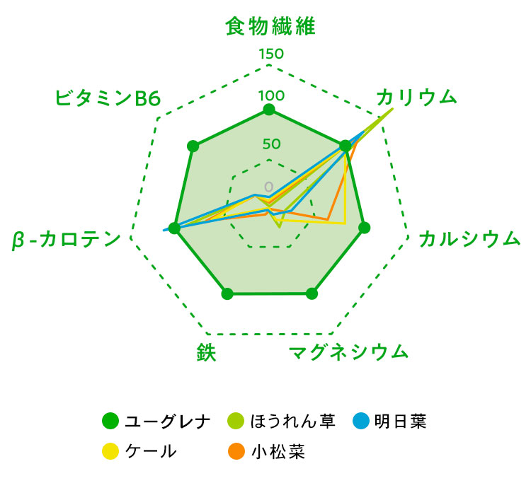 59種類