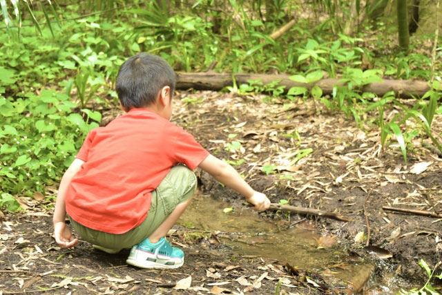 小学校低学年