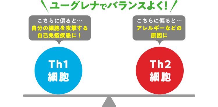 石垣島ユーグレナでバランスよく！