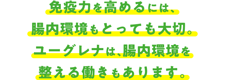 免疫力を高めるには、腸内環境もとっても大切。ユーグレナは、腸内環境を整える働きもあります。