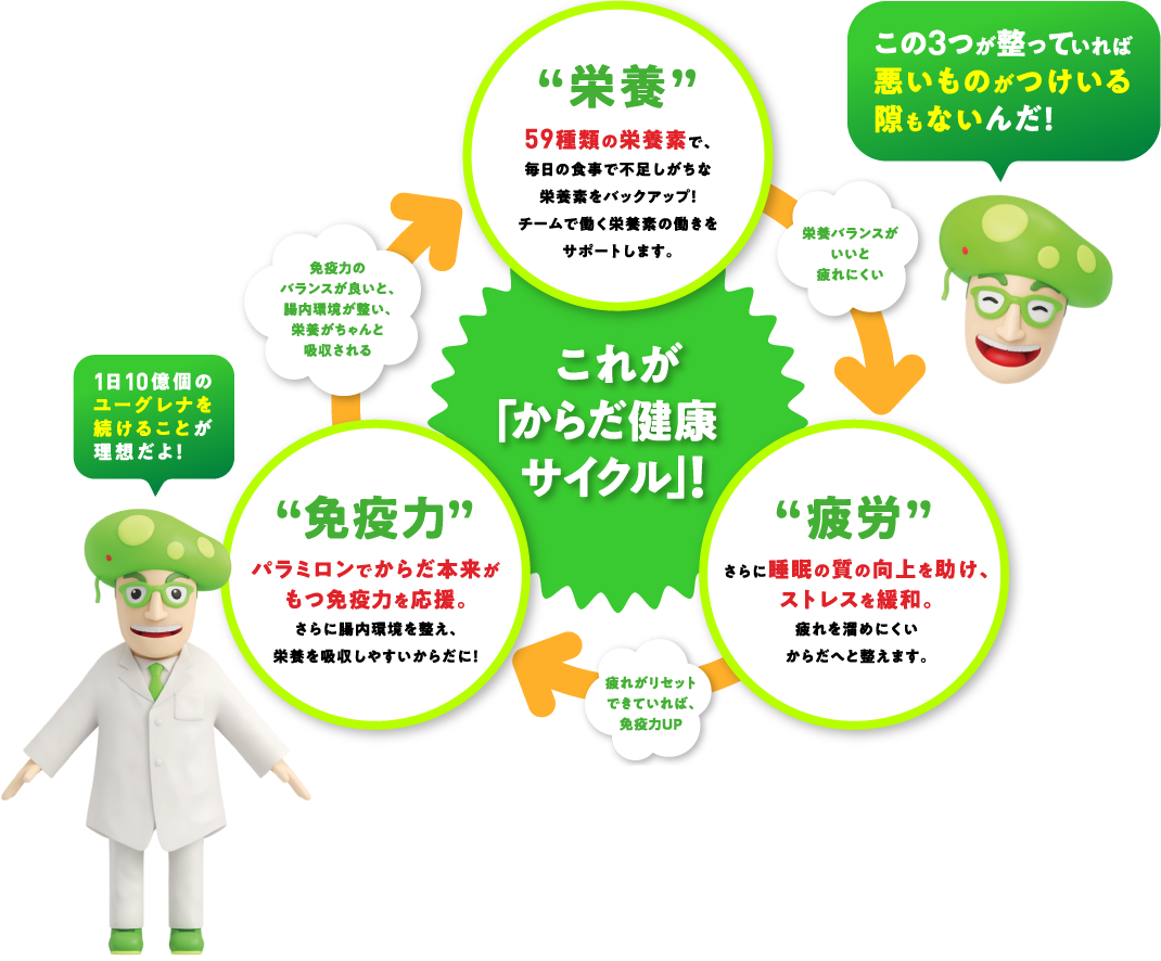 この3つが整っていれば悪いものがつけいる隙もないんだ！ 1日10億個のユーグレナを続けることが理想だよ！ "栄養"59種類の栄養素で、毎日の食事で不足しがちな栄養素をバックアップ！チームで働く栄養素の働きをサポートします。 栄養バランスがいいと疲れにくい "疲労" さらに睡眠の質の向上を助け、ストレスを緩和。疲れを溜めにくいからだへと整えます。 疲れがリセットできていれば、免疫力UP "免疫力"パラミロンでからだ本来がもつ免疫力を応援。さらに腸内環境を整え、栄養を吸収しやすいからだに！ 免疫力のバランスが良いと、腸内環境が整い、栄養がちゃんと吸収される