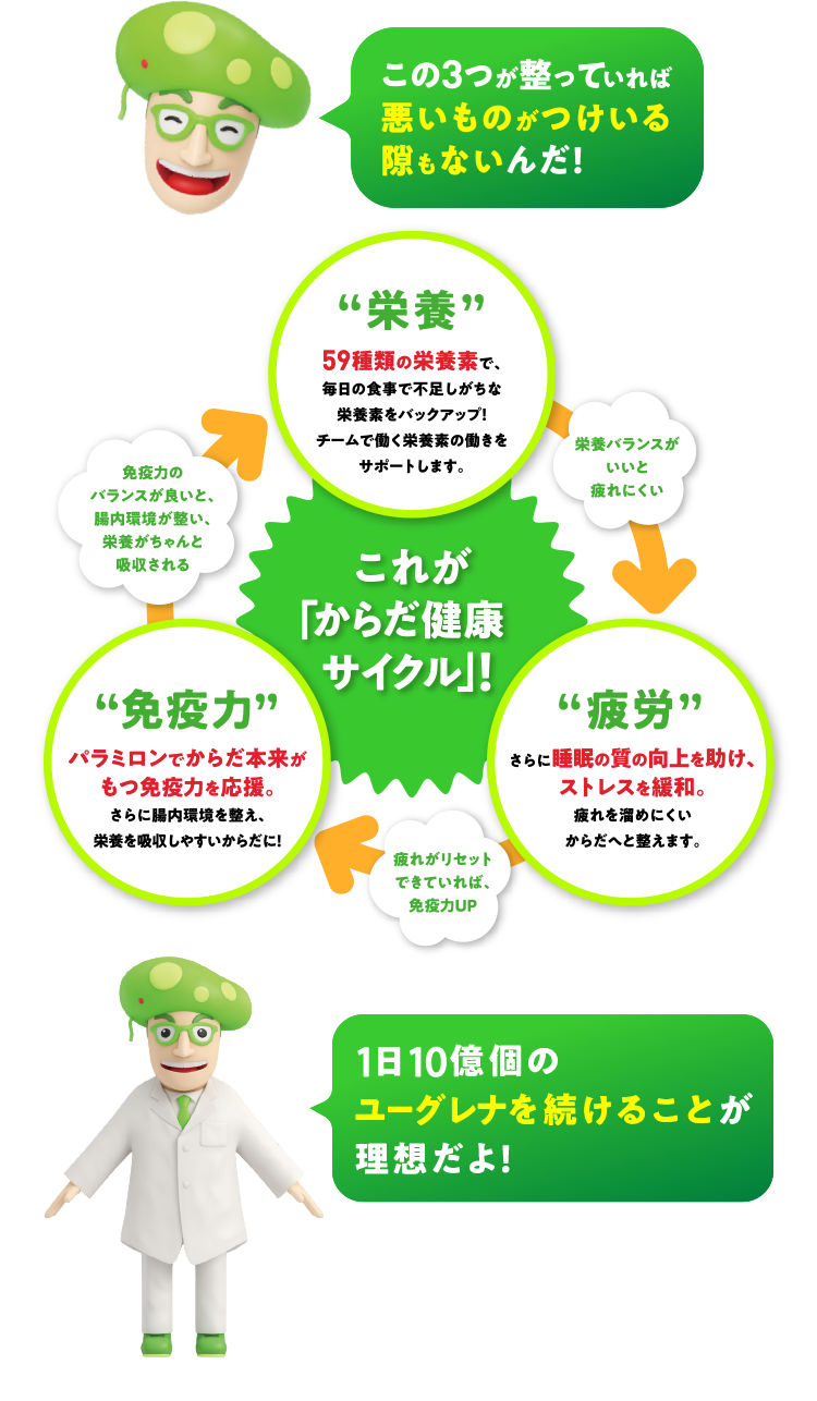 この3つが整っていれば悪いものがつけいる隙もないんだ！ 1日10億個のユーグレナを続けることが理想だよ！ "栄養"59種類の栄養素で、毎日の食事で不足しがちな栄養素をバックアップ！チームで働く栄養素の働きをサポートします。 栄養バランスがいいと疲れにくい "疲労" さらに睡眠の質の向上を助け、ストレスを緩和。疲れを溜めにくいからだへと整えます。 疲れがリセットできていれば、免疫力UP "免疫力"パラミロンでからだ本来がもつ免疫力を応援。さらに腸内環境を整え、栄養を吸収しやすいからだに！ 免疫力のバランスが良いと、腸内環境が整い、栄養がちゃんと吸収される