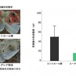 ユーグレナの2週間の継続摂取で胃潰瘍症状の緩和効果を示唆する研究結果が確認されました（マウスによる試験）