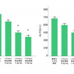 パラミロンの摂取により肝臓へのダメージの減少を示唆する研究結果が確認されました（ラットによる試験）