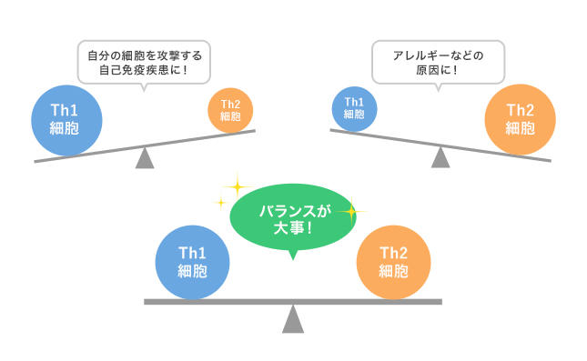 免疫とはの画像