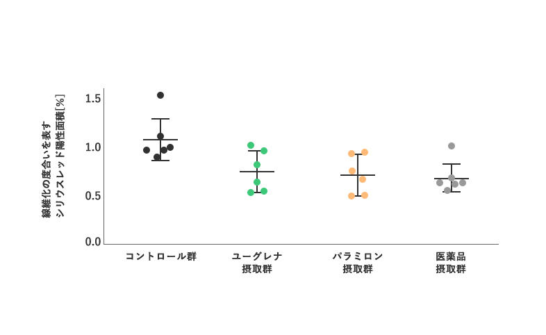 メインイメージ