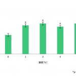 カラハリスイカ果汁が皮膚細胞の増殖を促進することが示唆されました。（細胞による試験）