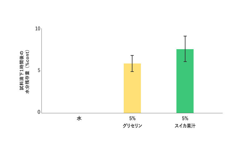 メインイメージ