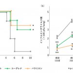 ユーグレナおよびパラミロンの摂取でインフルエンザ症状を緩和する可能性が示唆されました（マウスによる試験）