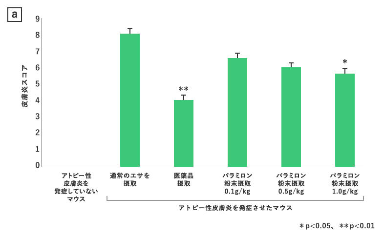 メインイメージ