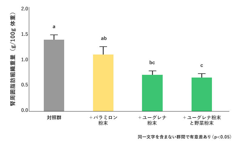 メインイメージ