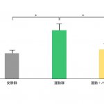 パラミロン粉末を摂取したマウスでは、運動後のアドレナリンの分泌が抑制されることを確認しました。（マウスによる試験）