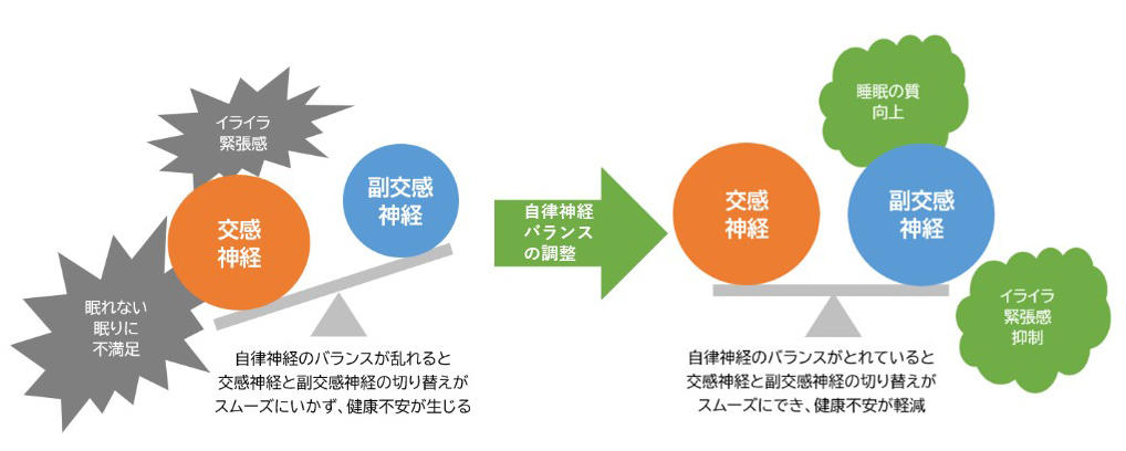 自律神経とはの画像