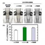 ミドリ麹がヒトの胃を模した環境でタンパク質の消化作用を示す研究結果が確認されました