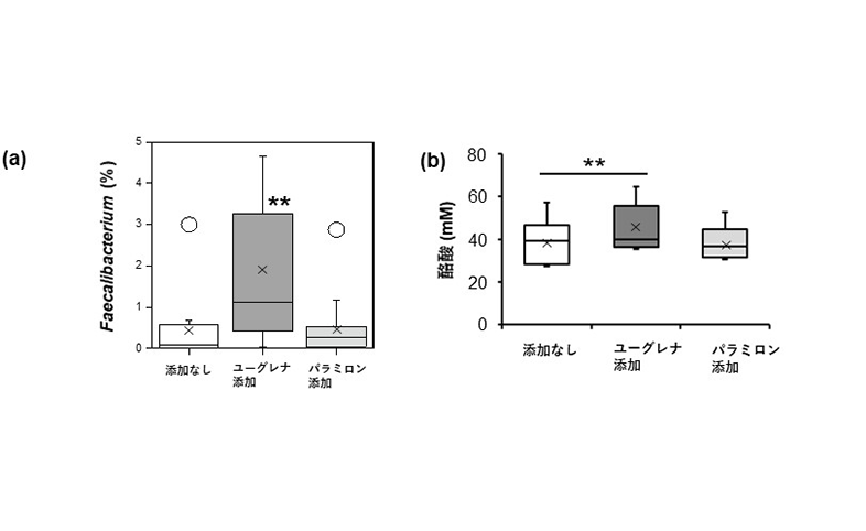 メインイメージ