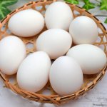 卵で免疫力を上げて丈夫な体に！免疫力を上げる栄養素と嬉しい効果3選を紹介！