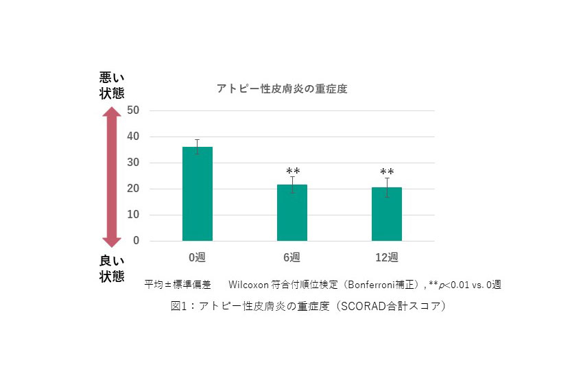 メインイメージ