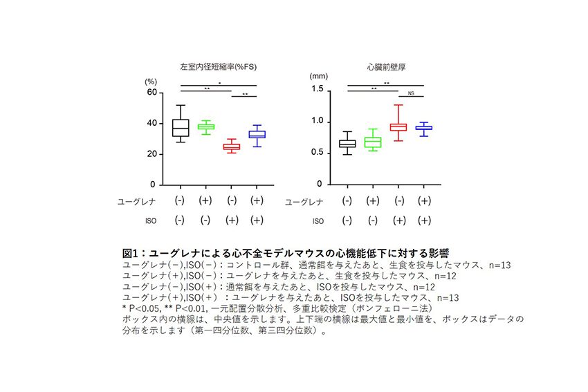 メインイメージ