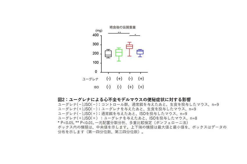 サブイメージ