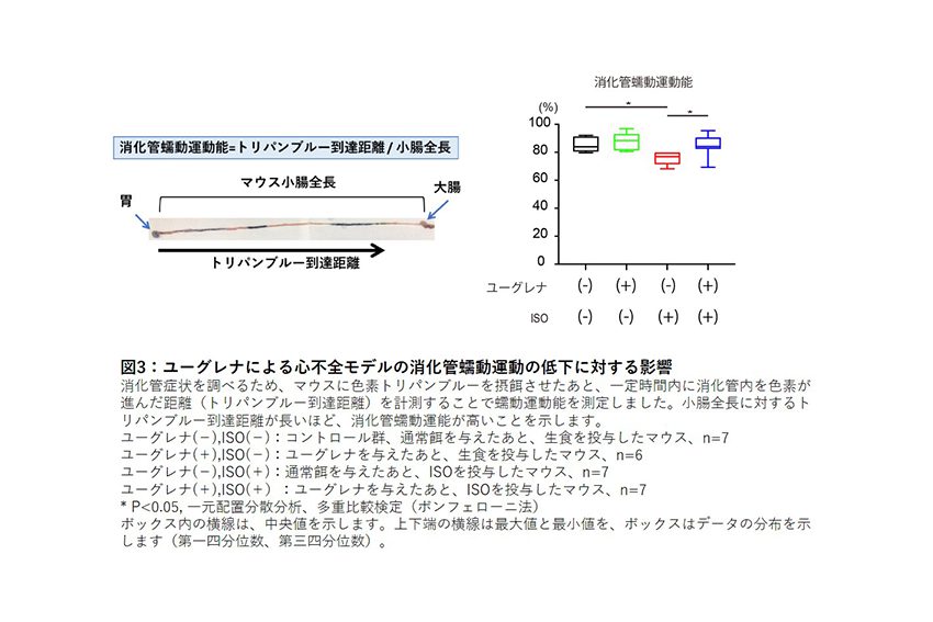 サブイメージ