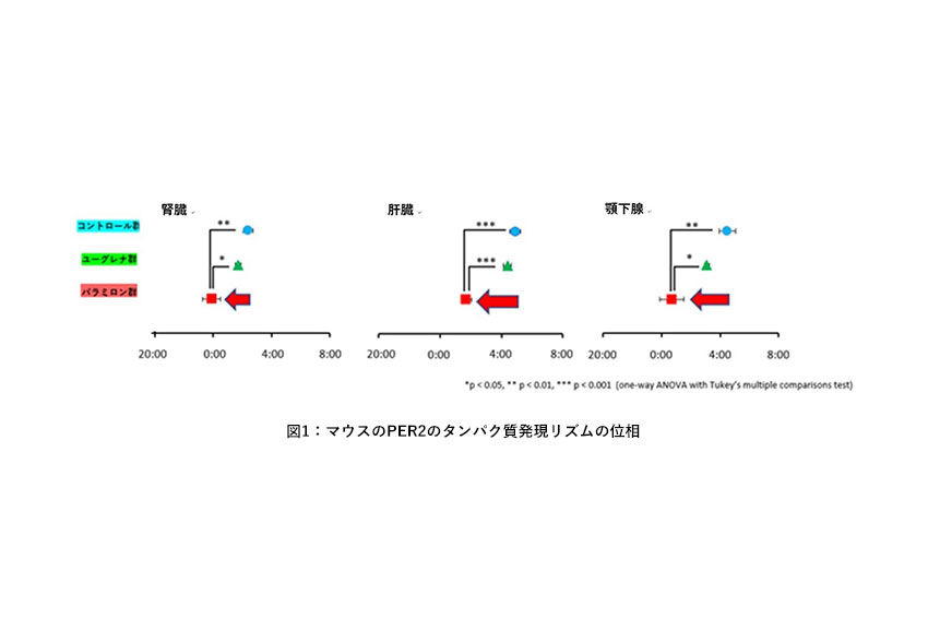 メインイメージ