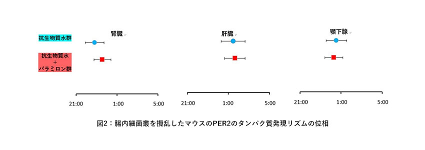 サブイメージ