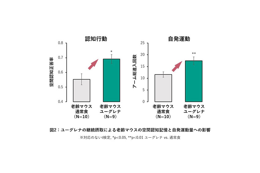 サブイメージ