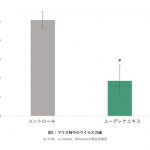 ユーグレナエキスの噴霧吸引による抗インフルエンザウイルス効果を示唆する研究成果を確認しました。（マウスによる試験）