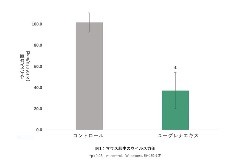 メインイメージ