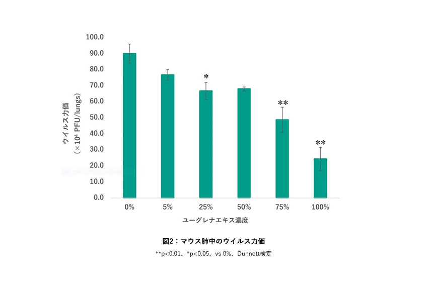 サブイメージ