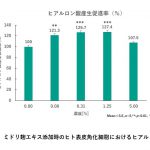 ミドリ麹エキスがヒトの表皮角化細胞のヒアルロン酸産生やグルタチオン産生を促し、健康的な肌の維持に貢献する可能性を示す研究結果を確認しました。（細胞による試験）