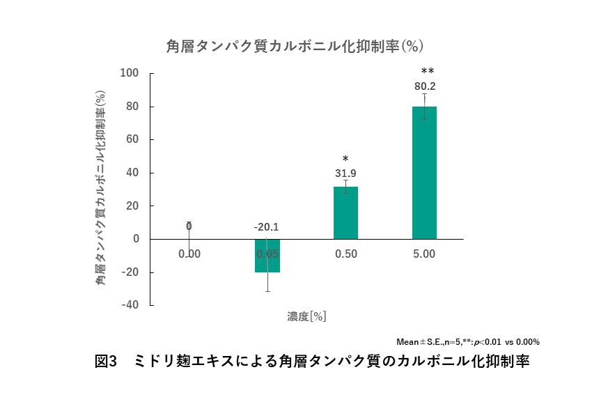 サブイメージ