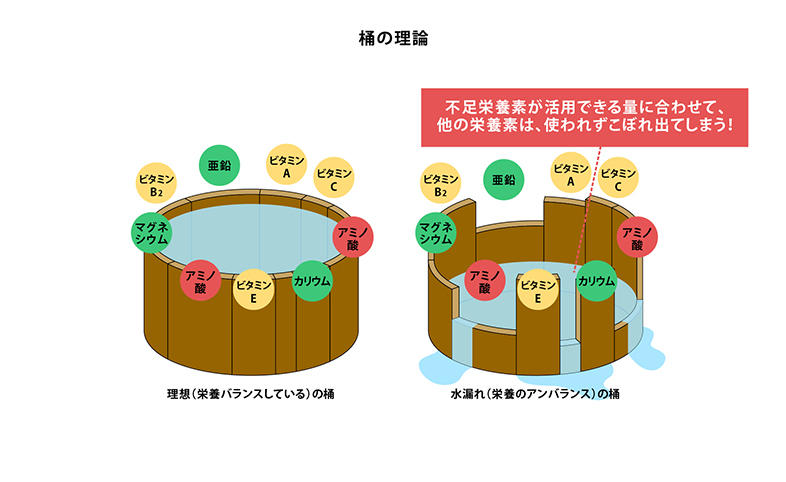 桶の理論