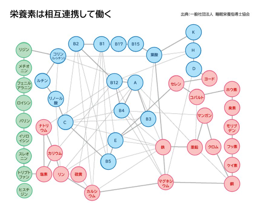 栄養素は相互連携して働く